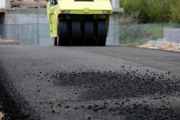 Best Driveway Pavers Near Me  in Long Lake, IL