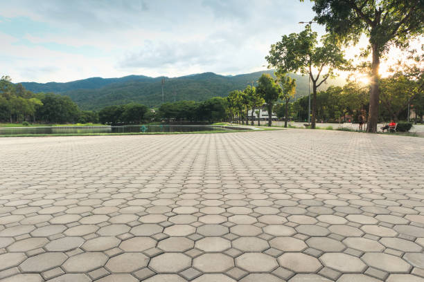 Best Driveway Pavers for Homes  in Long Lake, IL