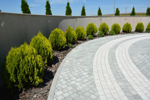 Best Residential Driveway Paver Services  in Long Lake, IL